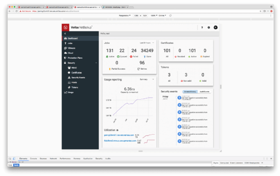 screenshot of NetBackup client