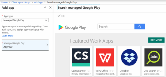 Screenshot of the Google Play Store.