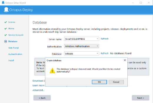Octopus Deploy database install