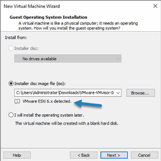 VMware ESXi detected