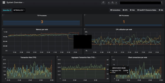 Screenshot of NuoDB platform showing transaction processing