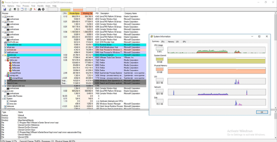 Windows Sysinternals Process Explorer screenshot