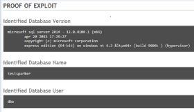 Netsparker scanner finds SQL injection