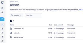Bitbucket repository branch.