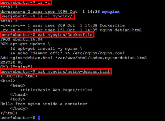 Dockerfile commands