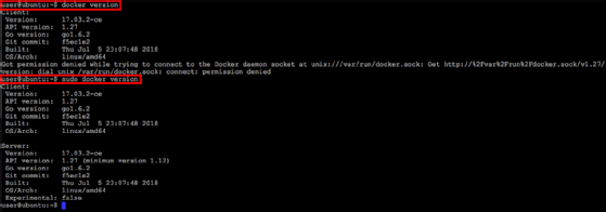 Use sudo docker version