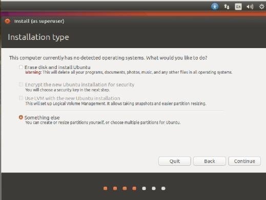 Do a manual partition during Ubuntu installation.