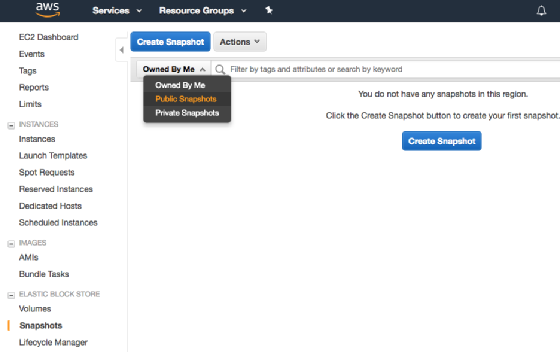 Find publicly shared EBS snapshots.