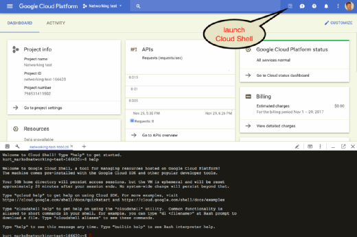 Google cloud shell