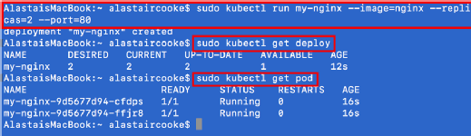 Nginx web servers