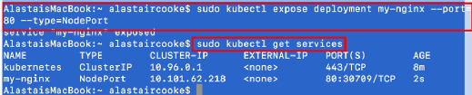 Expose Nginx