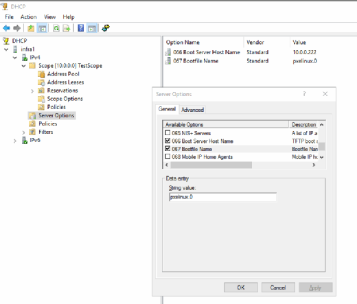 DHCP server options