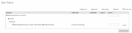 Red Hat Satellite install, sync files