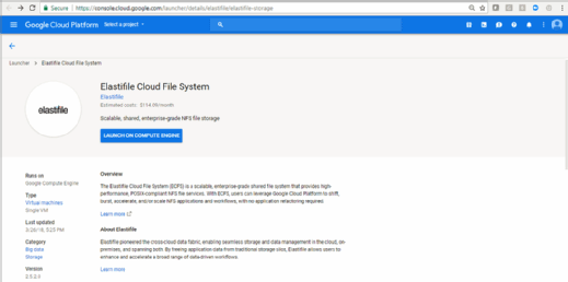  Elastifile NFS-based file services