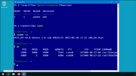 Ubuntu Linux bash shell