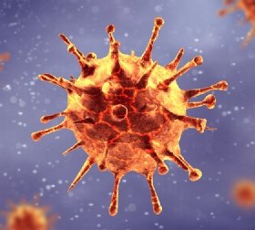 Coronavirus
