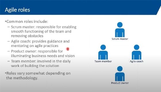 Agile roles