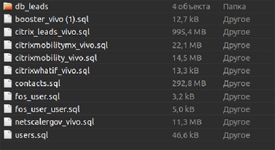 Citrix dark web
