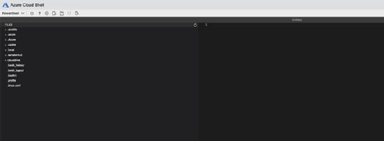 Cloud Shell text editor