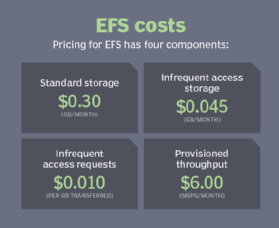 EFS costs