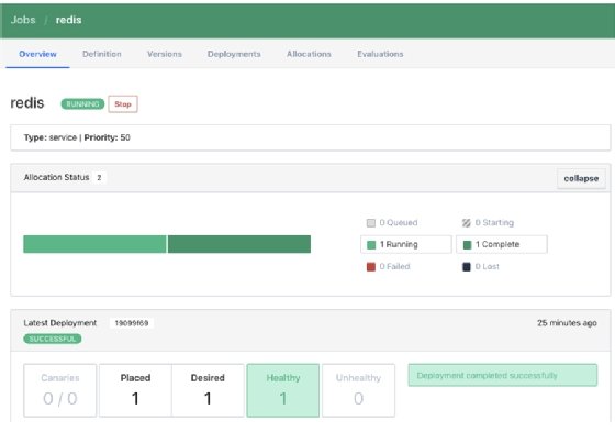 HashiCorp Nomad UI