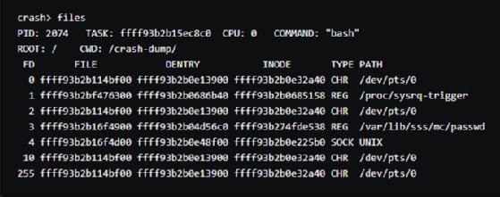 View active files with files command