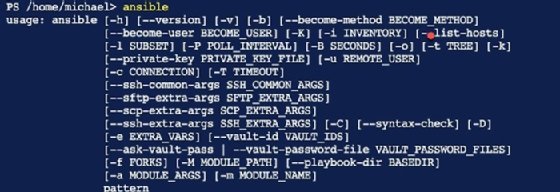 PowerShell terminal Ansible options