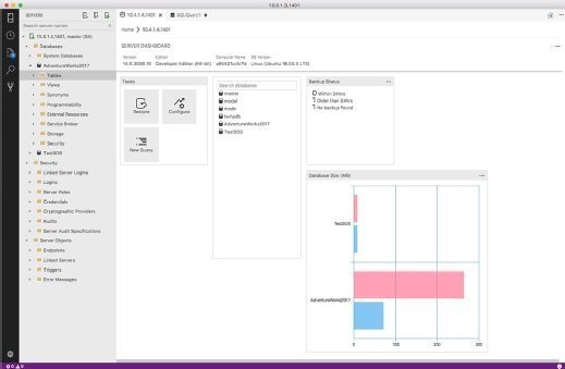 User interface in Microsoft's Azure Data Studio tool