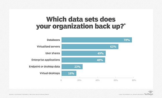 Types of data sets backed up