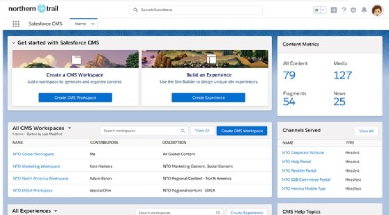 Salesforce CMS dashboard.