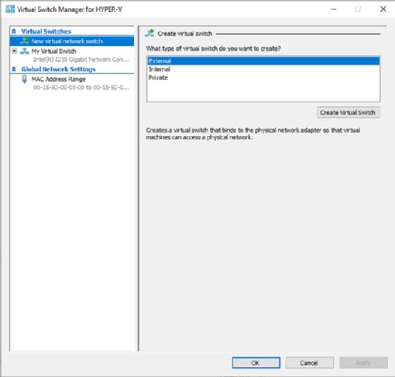 Screenshot of Virtual Switch Manager