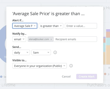 An organization's sales information is displayed in a sample gif from Looker.