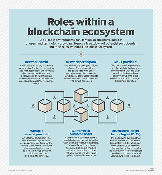 Roles in a blockchain ecosystem