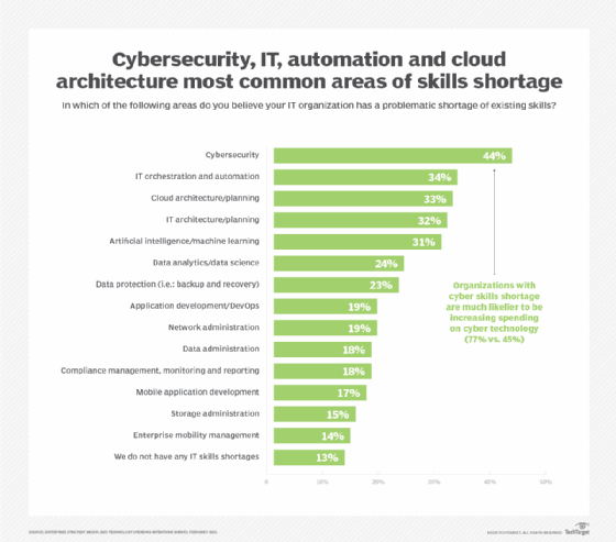 Enterprises identified IT skills shortages in multiple areas.