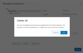 Delete snapshot