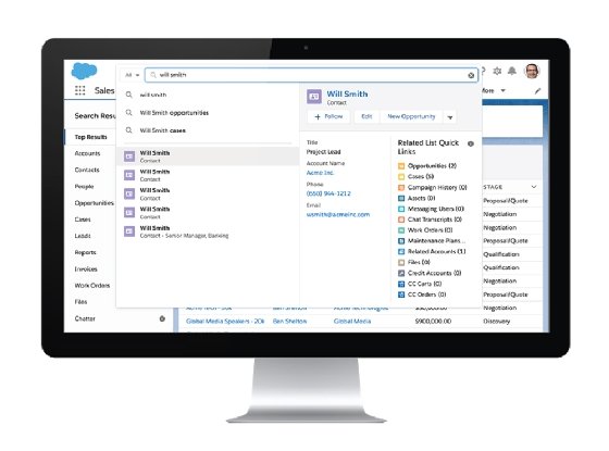 Salesforce Einstein Search screenshot.