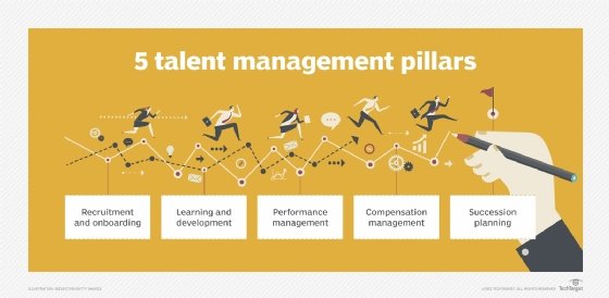 Pillars of talent management