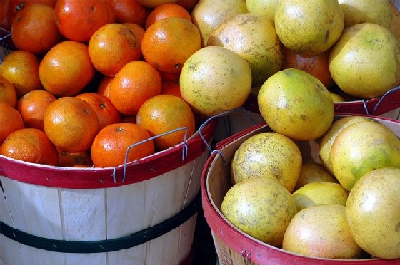 Baskets of oranges and grapefruits are shown at a grocery store.