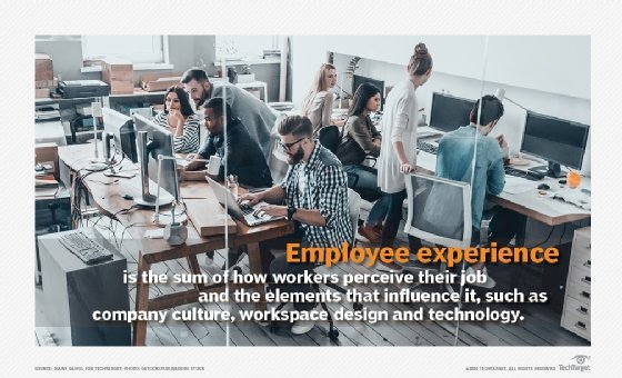 What is employee experience?