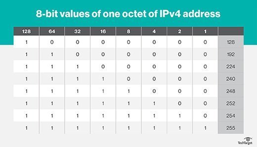 8-bit values of one octet of an IPv4 IP address.