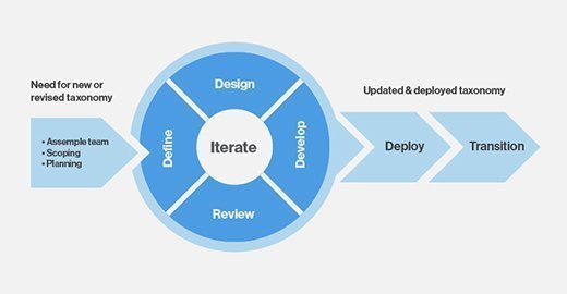 Iterative taxonomy development