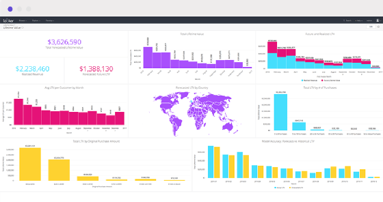 Looker data platform screenshot