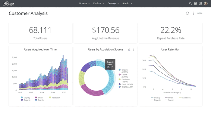 Customer information on a sample dashboard from Looker