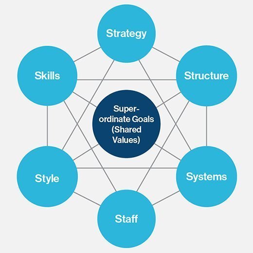 the McKinsey 7S framework