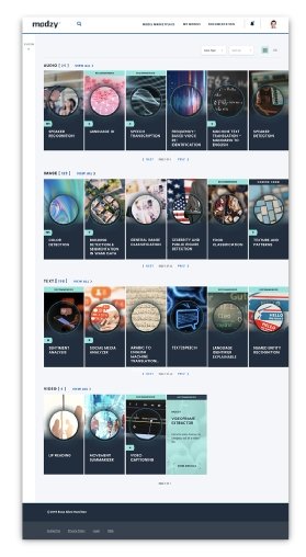 Booz Allen Hamilton, Modzy, AI