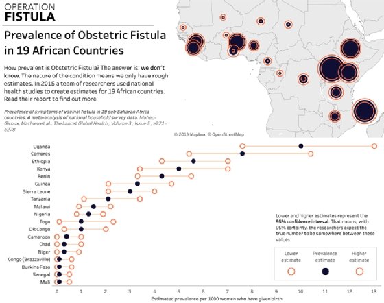 The prevalence of obstetric fistula in 19 African countries is displayed on a dashboard.
