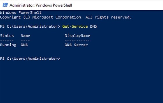 PowerShell DNS check