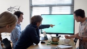 Looking at shark image photo