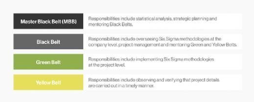 Diagram of the hierarchy of roles for Six Sigma implementation.