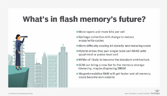 Future of flash memory